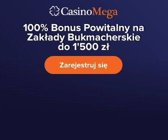 kasyna online działanie